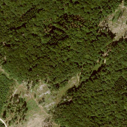 Satellite imagery of Dachsberg, DE