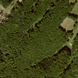 Satellite imagery of Dachsberg, DE