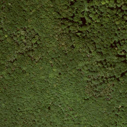 Satellite imagery of Bonzeberg, DE