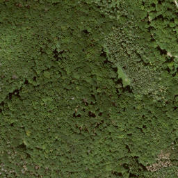 Satellite imagery of Muhlienberg, DE