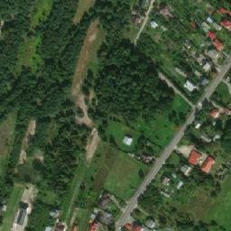 Satelita