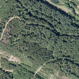 Satellite imagery of Heßberg, DE