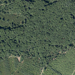 Satellite imagery of Dumberg, DE