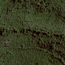 Satellite imagery of Elmsberg, DE