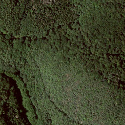 Satellite imagery of Elmsberg, DE