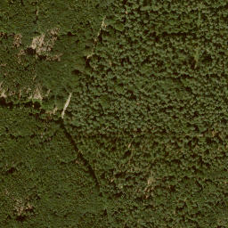Satellite imagery of Mönchskopf, DE