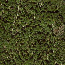 Satellite imagery of Komberg, DE