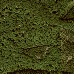 Satellite imagery of Dachsberg, DE