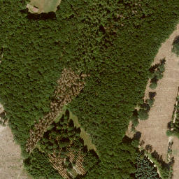 Satellite imagery of Zungenkopf, DE