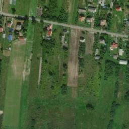 Satelita