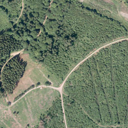 Satellite imagery of Heßberg, DE