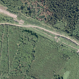 Satellite imagery of Heßberg, DE