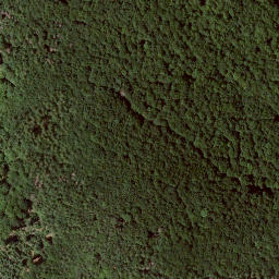 Satellite imagery of Elmsberg, DE
