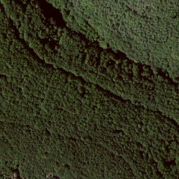 Satellite imagery of Elmsberg, DE