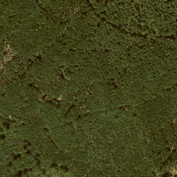 Satellite imagery of Mönchskopf, DE