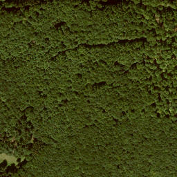 Satellite imagery of Dachsberg, DE
