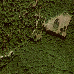 Satellite imagery of Zungenkopf, DE