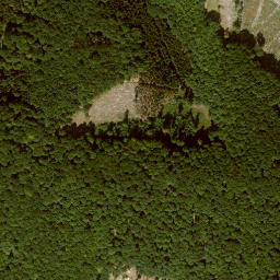 Satellite imagery of Zungenkopf, DE