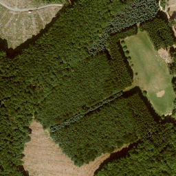 Satellite imagery of Zungenkopf, DE