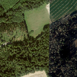 Satellite imagery of Gunter, DE