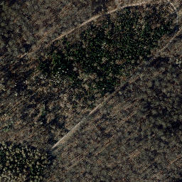 Satellite imagery of Gemeindeberg, DE