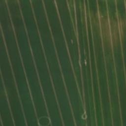 Satellite imagery of Haarberg, DE