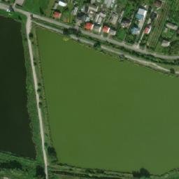 Satelita