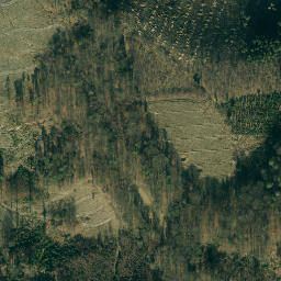 Satellite imagery of survey_point, DE