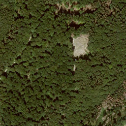 Satellite imagery of Steinwaldskopf, DE