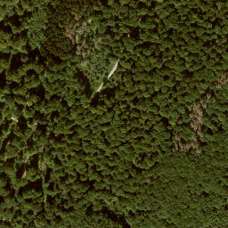 Satellite imagery of Ziegenküppel, DE