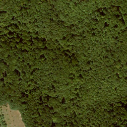 Satellite imagery of Zungenkopf, DE