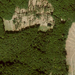 Satellite imagery of Zungenkopf, DE