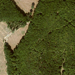 Satellite imagery of Zungenkopf, DE