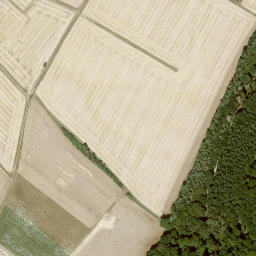 Satellite imagery of Lotzenkopf, DE