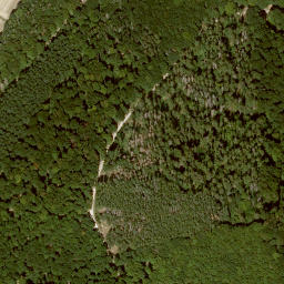 Satellite imagery of Lotzenkopf, DE