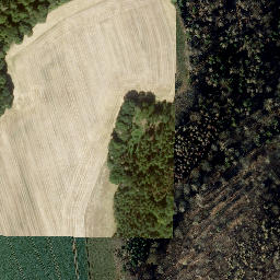 Satellite imagery of Gunter, DE