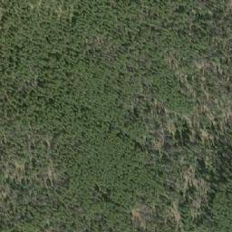 Satellite imagery of Buck Mountain, CA