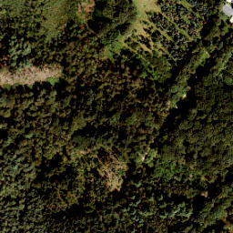 Satellite imagery of 377-A, NL