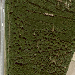 Satellite imagery of Hoher Berg, DE