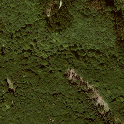 Satellite imagery of Ziegenküppel, DE