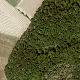 Satellite imagery of Lotzenkopf, DE