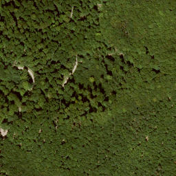 Satellite imagery of Lotzenkopf, DE