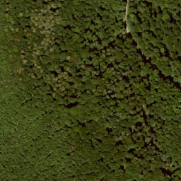 Satellite imagery of Lotzenkopf, DE