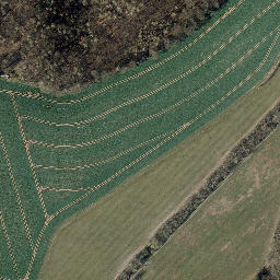 Satellite imagery of Gunter, DE