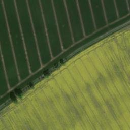 Satellite imagery of Kobenkopf, DE