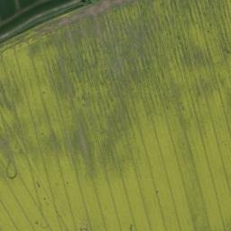 Satellite imagery of Kobenkopf, DE