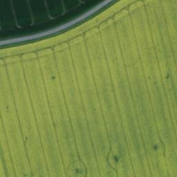 Satellite imagery of Haarberg, DE