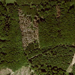 Satellite imagery of Mittelberg, DE