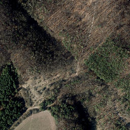 Satellite imagery of Adolfsburg, DE