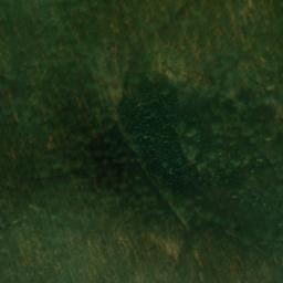 Satellite imagery of Locheiche, DE